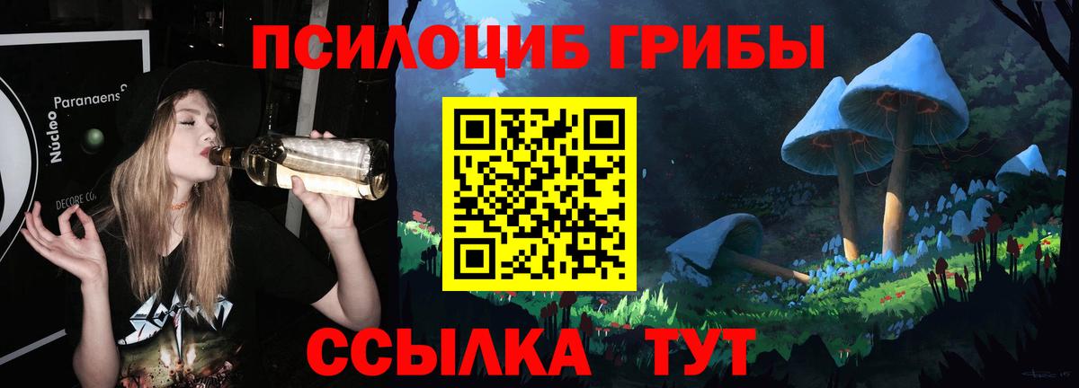 цены наркотик  Псилоцибиновые грибы MAGIC MUSHROOMS  Вход с VPN  Галлюциногенные грибы GOLDEN TEACHER  Красноармейск 